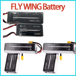Rc Helicopter Bag - FLY WING FW450 FW450L LiPo 배터리