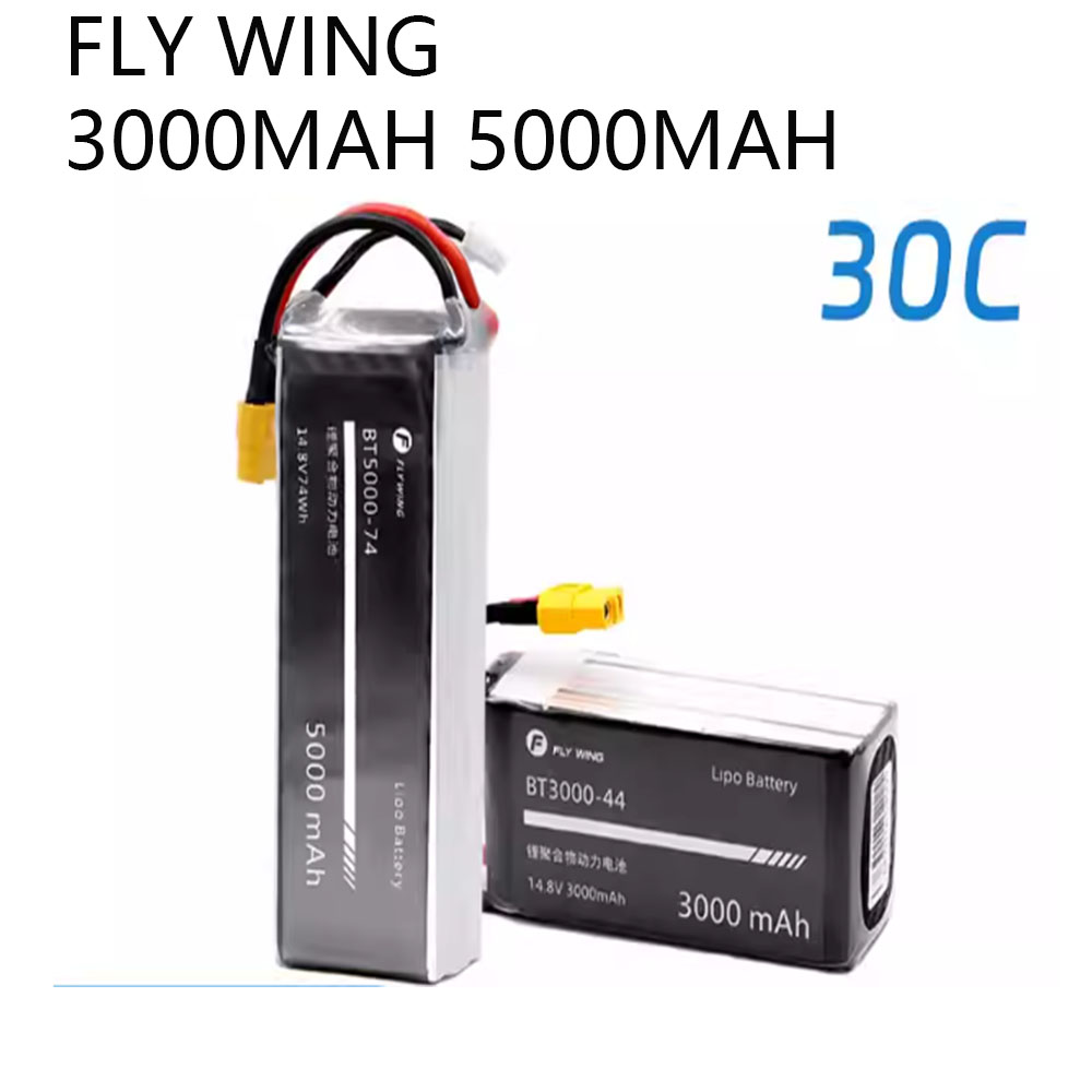 FLY WING FW450 FW450L LiPo 배터리 - Rc Helicopter Bag 리뷰 및 가격